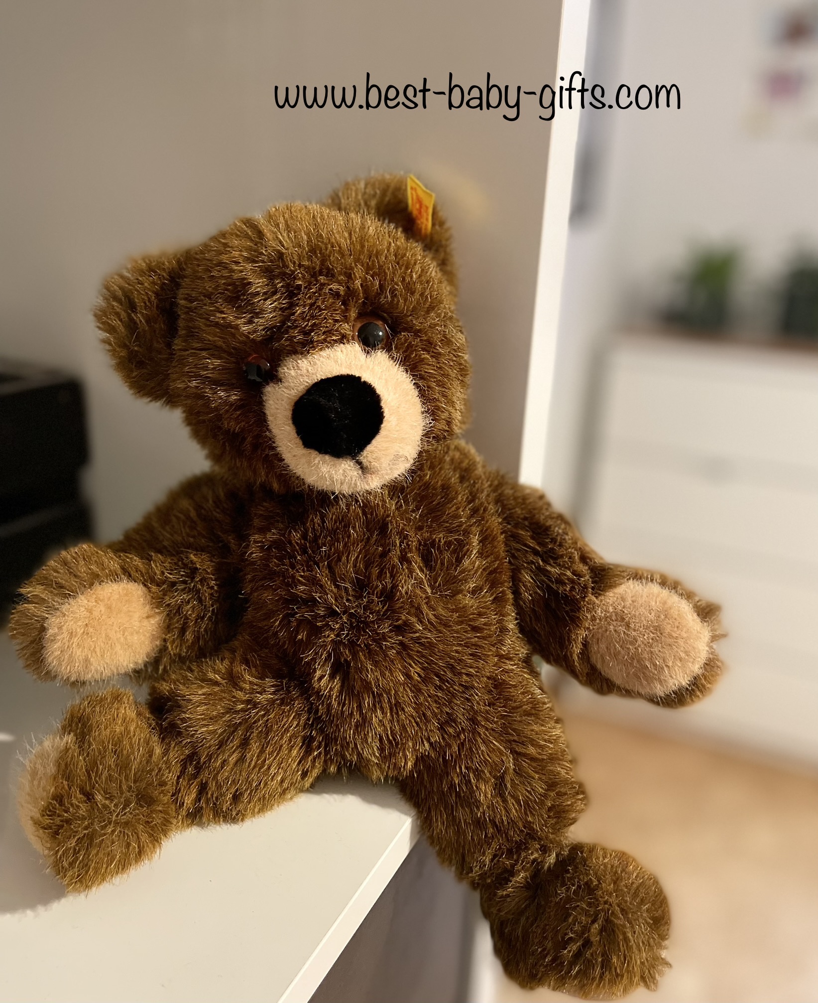a brown and cuddly Steiff teddy bear sitting on a shelf. The yellow Steiff tag is clearly visible.