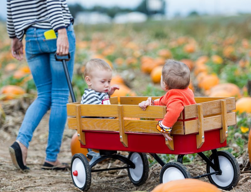 children's pull along wagon