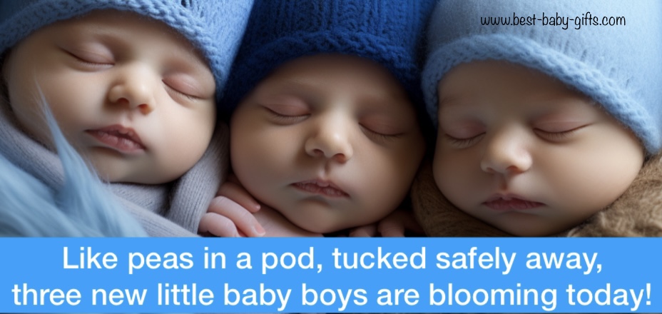 3 sleeping boy triplets with blue hats and a triplets baby quote "Like peas in a pod, tucked safely away,
three new little baby boys are blooming today!"